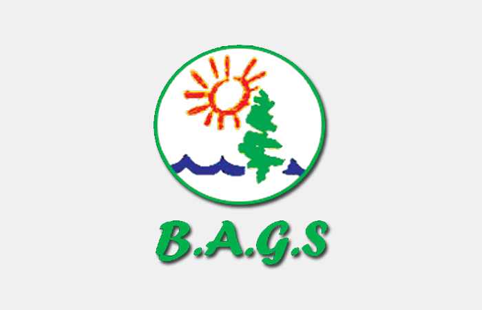 کمپانی B.A.G.S